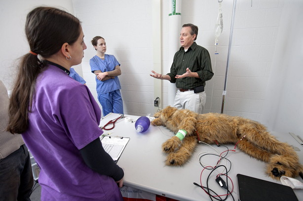 Dan Fletcher in simulation center exam room with robotic dog