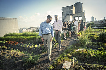 Atkinson Center for a Sustainable Future faculty fellows joined College of Agriculture and Life Sciences leaders and alumni in June 2016 at the Brooklyn Grange rooftop farm for a farm-to-table dinner and tour showcasing Cornells work with local food systems and sustainable agriculture. Photo: Diane Bondareff Photography.