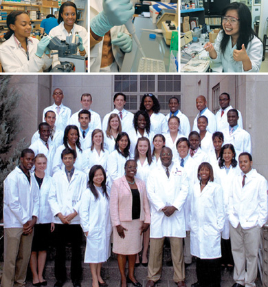 Scenes from Weill Cornell research fellows program