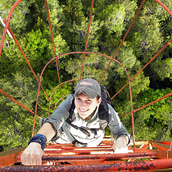 Jessica Stitt climbs tower in Borneo forest