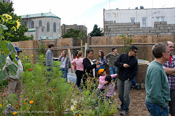 Neighborhood gathering at Compost for Brooklyn's garden