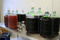 First wine samples produced at teaching winery