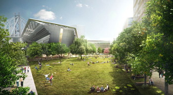 The central campus esplanade with large open space, a key feature of the
proposed campus plan