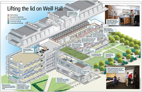 Graphic of Weill Hall