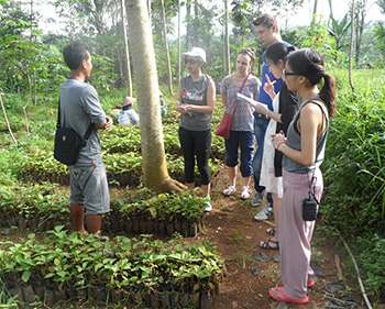 SMART Program team at Jabon Kendal Tree Farm in Indonesia