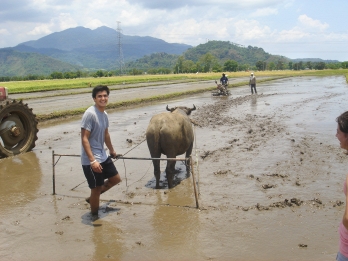 Nick Strutt  08 and a water buffalo in the Philippines