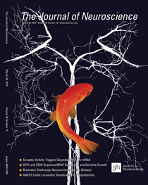 Journal of Neuroscience cover