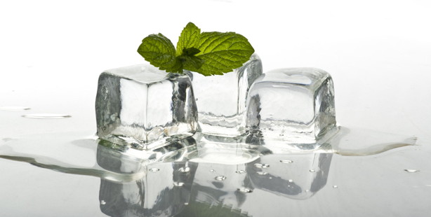 ice cubes with mint leaves