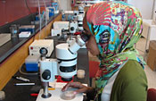 Student in Qatar lab