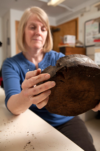Carol Griggs in Cornell's Dendro Lab examines tree sample