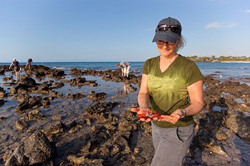 Professor Drew Harvell tidepooling in Hawaii