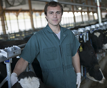 Julio Giordano, assistant professor of dairy management