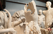 Plaster cast collection