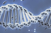 Genome illustration