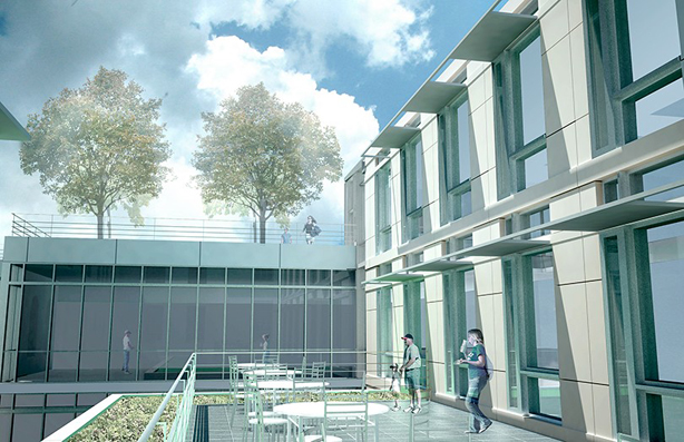 Klarman Hall artist's rendering: view of living roof and terrace