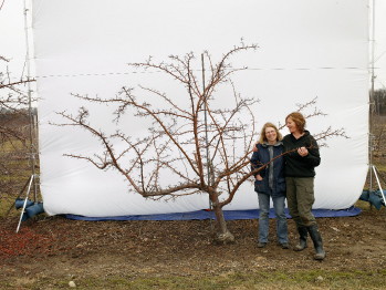 Apple breeder and horticulture professor Susan Brown with artist Jessica Rath