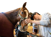 Max Constant '11, men's polo team captain, grooms a horse before a match