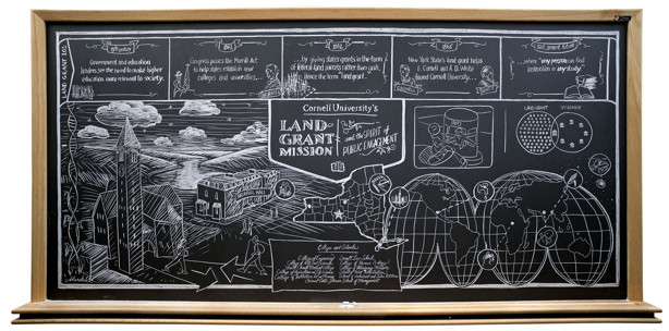 Blackboard with Cornell land-grant collage drawing